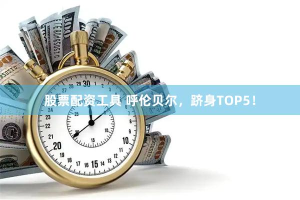 股票配资工具 呼伦贝尔，跻身TOP5！