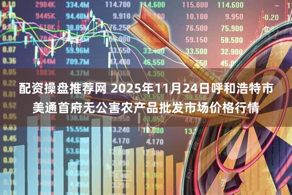 配资操盘推荐网 2025年11月24日呼和浩特市美通首府无公害农产品批发市场价格行情